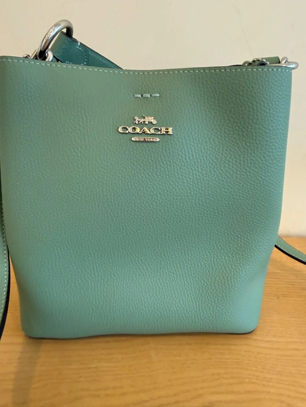 Coach‎ Small Town Bucket Bag in Mint